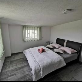 Gostionica Kod Krlje, Hotel in Nova Topola