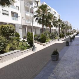 appartement chams