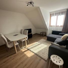 Studio cabine chaleureux, hotel em Corrençon-en-Vercors
