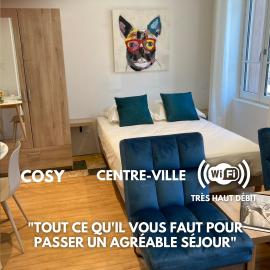 Premium Appart Albi: Albi şehrinde bir otel