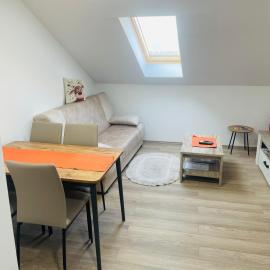 Ostrovo에 위치한 호텔 Apartman Jela Srebrno jezero