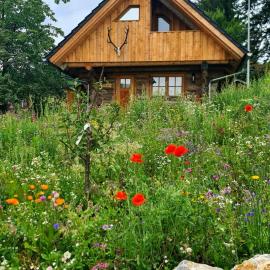 Blockhaus PanHütte, hotel in Braunlage