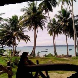Nyang Ebay Surf Camp Siberut E"bay 1 minute walking Beng-Beng 5 minute walking,Pitstop 10 minute walking nipussy 1 hour walking short walking only minute distances from our place、Masokutのホテル