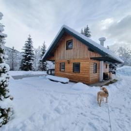 Chalet am Teich Familie Gänser