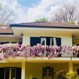 B&B La libellula、Castelnuovo Nigraのホテル