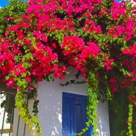 CORALLI, hotell i Spetses