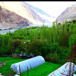 Summer and winter homestay Turtuk Youl