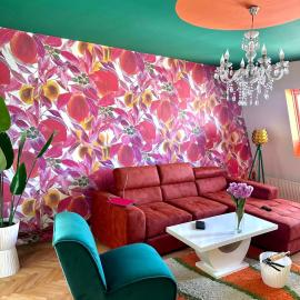 Apartman Amore Mio Golubac