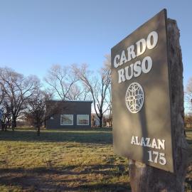 Toay में, होटल Cardo Ruso Cabaña