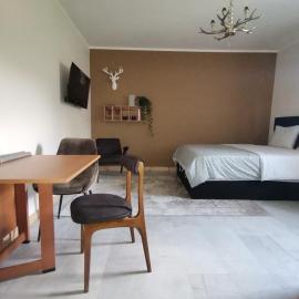 Motyl Apartamenty Studio lub pokój z łazienką - bez aneksu, proszę wybrać właściwy lokal