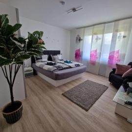 Ferienwohnung Starennest mit direktem Harzblick