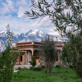 Lchang Nang Retreat-THE HOUSE OF TREES-Nubra Valley, hotel u gradu Nubra