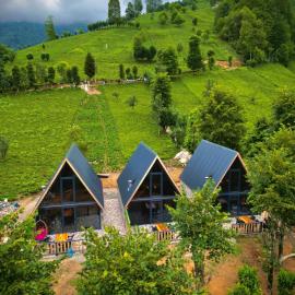 Doğallife suit bungalow, Hotel in Çamlıhemşin