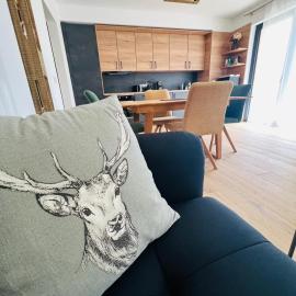Family 2 bedroom Ski&Bike Apartment with Terrase