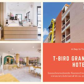 T-Bird Grand Hotel Trang ทีเบิร์ดแกรนด์, hotel v destinaci Trang