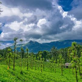 Viesnīca Ende Wayanad Resort pilsētā Koroth