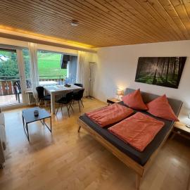 Haus am Sonnenberg, Todtnauberg, Ferienwohnung 204, direkt am Skilift-Skipiste, Nähe Feldberg, hotel a Todtnau