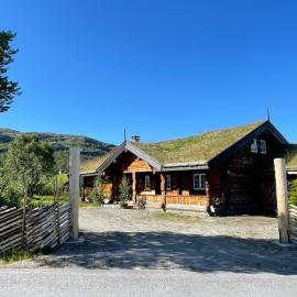 Solsetra - Mountain Majesty Family Log Cabin, khách sạn ở Hovden
