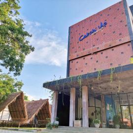 Catch Up Dambulla