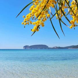 CASA VACANZE CALIK ALGHERO