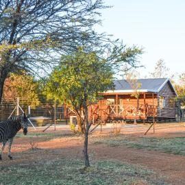 Letlotse Lodge, hotel in Hammanskraal
