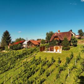 Holiday Home Wine & Relax Sveti Martin na Muri, hotel in Gornji Koncovčak