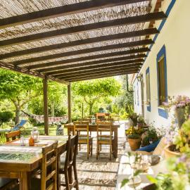 Figueirinha Ecoturismo, hotel in Monte da Estrada