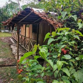 YAKU lodge & camping – hotel w mieście Padre Cocha