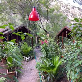 Canario Bungalows, hotell i Çıralı