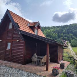 Vila Carobna suma Tara