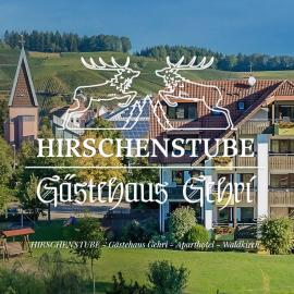 Gasthaus Hirschenstube & Gästehaus Gehri, hotel a Waldkirch