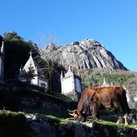 Penedino Mountain Cottage, hotel v destinácii Arcos de Valdevez
