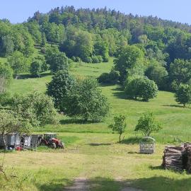 Les studios du frankenthal, hotel a Stosswihr