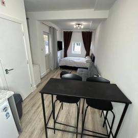 Large studio flat with garden, Hotel in Teddington