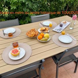 50 m2 T2 au calme, lumineux, confortable, cosy, climatisé, privatif avec parking gratuit et terrasse, Hotel in Toulouse