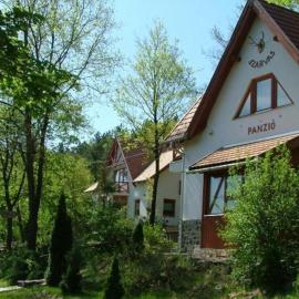 Szarvas Panzió, hotel in Erdőbénye