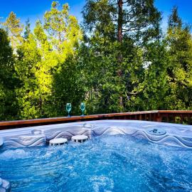 Honeybee Hive HOT TUB BBQ 8 minutes to Bass Lake Sleeps up to 6, hotel in North Fork