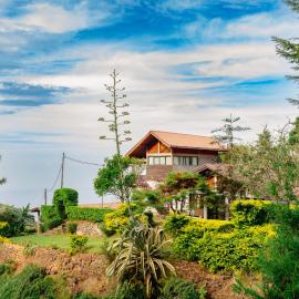 Hill Safari - Tea Estate Villa, Hotel in Ohiya