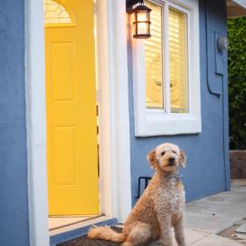 Mile to Beach! Fully Fenced Private SoCal Cottage، فندق في أوشن سايد