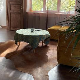 Sepa Apartement、クレサーレのホテル
