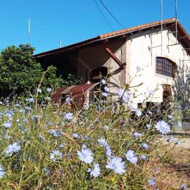 Albergue & Cafetería Vía de la Plata Hervás, ξενοδοχείο σε Hervás