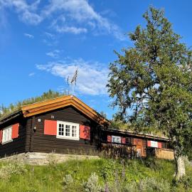 Elveseter - log cabin with an amazing view – hotel w mieście Venabygd