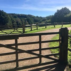 The Annex is in the beautiful Ashdown Forest, hotel a Crowborough