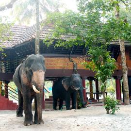 Elephant Courtyard- A Heritage Homestay