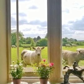Battens Farm Cottages - B&B and Self-Catering Accommodation, hotel in Yatton Keynell