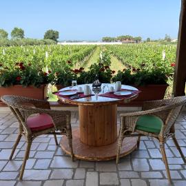 B & B Vigna Di Filippo - Paestum