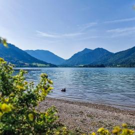 Ferienwohnung Auszeit am See
