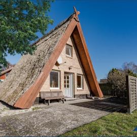 Reetdachhütte im Birkenhain
