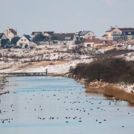 DuinVliet - Zandvoort Dunes & Free Parking, hotel in Bentveld