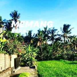 Uda House Saba Beach 2: Saba şehrinde bir otel